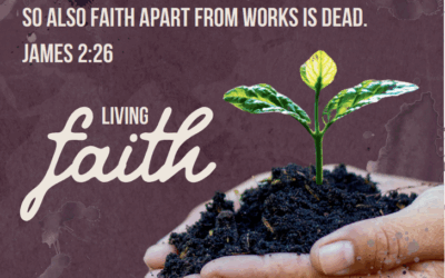 Alma Hunt Virginia Missions Offering 2025