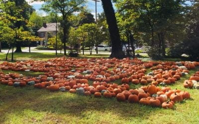 Grace Network Pumpkin Patch 2020