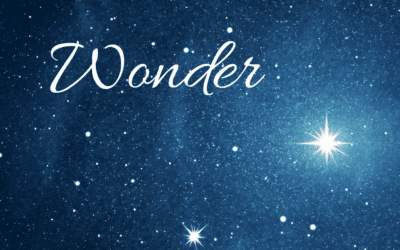 Advent Wonder