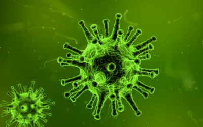 A Note from the Pastor about COVID-19