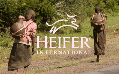 Missions Focus December 2021: Heifer International