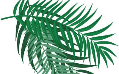 Palm Sunday, March 29, 2026