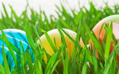 FBC & ELC Easter Egg Hunt 2025