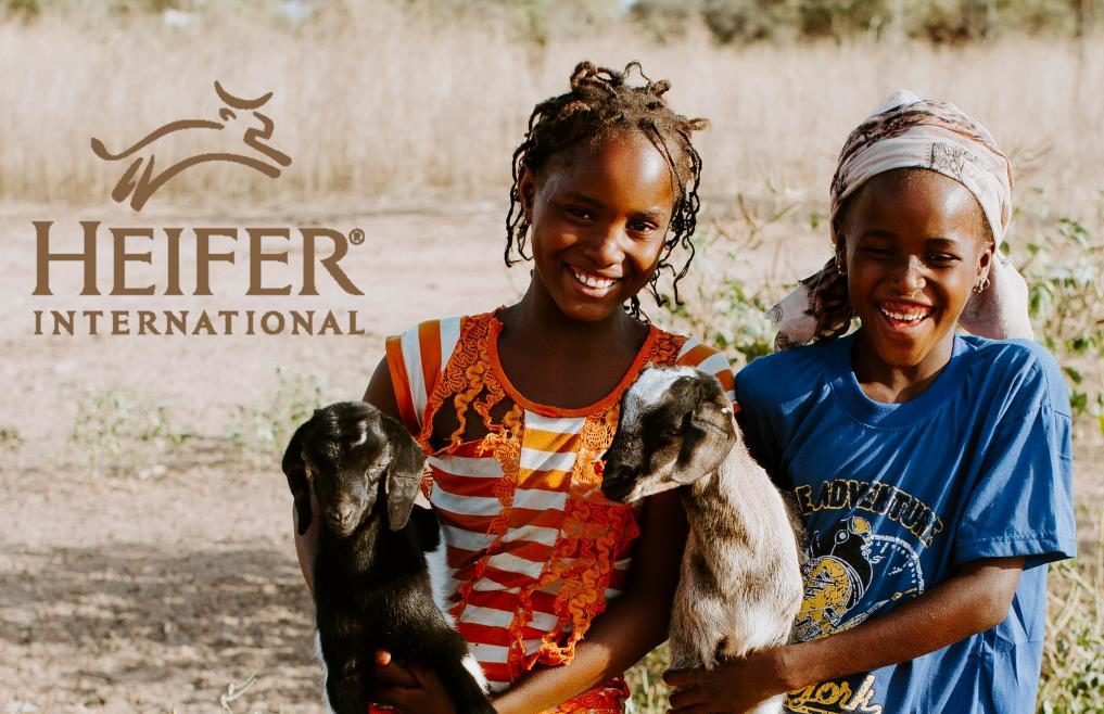 Missions Offering December 2022: Heifer International