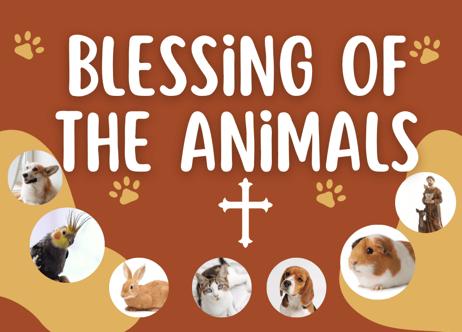 Blessing of the Animals 2023
