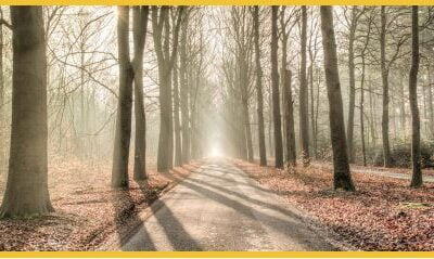 Guiding Light Pastoral Care, LLC